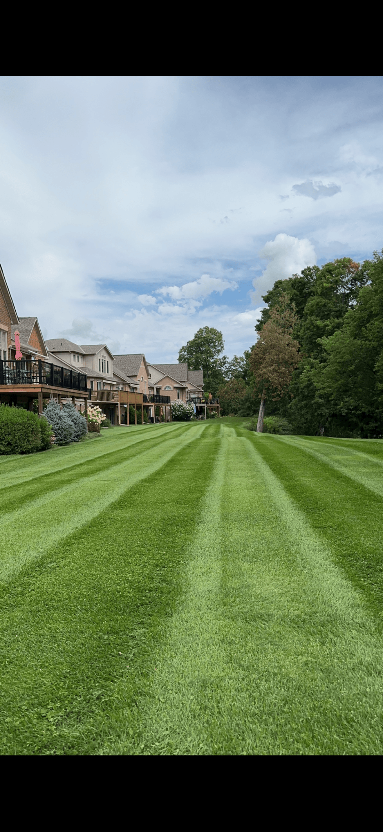 Perfectly striped residential lawn in summer